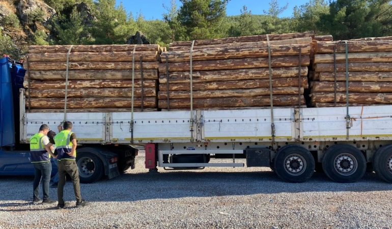 Sinop’ta ormanlarda kaçak faaliyetlere karşı sıkı denetim