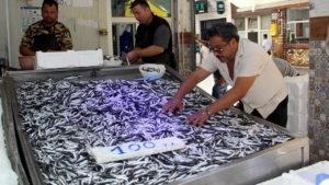 a-a-20250919-39159504-39159502-k-o-t-a-g-e-t-i-r-i-l-e-n-h-a-m-s-i-a-v-c-i-l-i-g-i-n-i-n-v-e-r-i-m-l-i-b-a-s-l-a-m-a-s-i-g-e-l-e-c-e-k-a-d-i-n-a-u-m-u-t-o-l-d-u