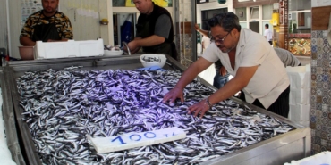 a-a-20250919-39159504-39159502-k-o-t-a-g-e-t-i-r-i-l-e-n-h-a-m-s-i-a-v-c-i-l-i-g-i-n-i-n-v-e-r-i-m-l-i-b-a-s-l-a-m-a-s-i-g-e-l-e-c-e-k-a-d-i-n-a-u-m-u-t-o-l-d-u