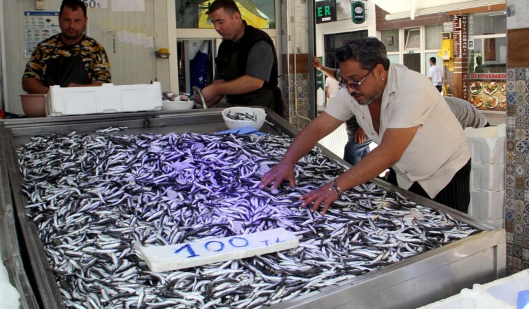 a-a-20250919-39159504-39159502-k-o-t-a-g-e-t-i-r-i-l-e-n-h-a-m-s-i-a-v-c-i-l-i-g-i-n-i-n-v-e-r-i-m-l-i-b-a-s-l-a-m-a-s-i-g-e-l-e-c-e-k-a-d-i-n-a-u-m-u-t-o-l-d-u