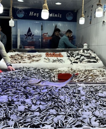 a-a-20250922-39190715-39190714-h-a-m-s-i-a-v-c-i-l-i-g-i-h-e-m-b-a-l-i-k-c-i-y-i-h-e-m-t-u-k-e-t-i-c-i-y-i-m-e-m-n-u-n-e-t-m-e-y-i-s-u-r-d-u-r-u-y-o-r