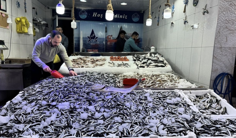 Hamsi fiyatları tüketiciyi memnun ediyor