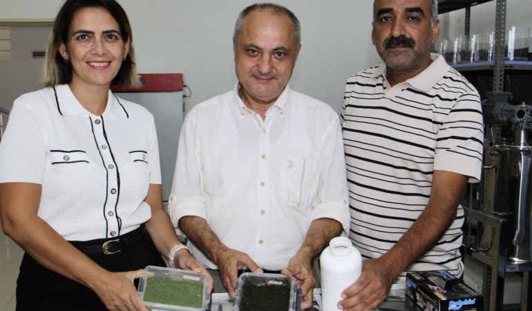 Sinop’ta yosunlar gübreye dönüştürüldü