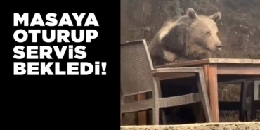 ankarakizilcahamamayi-1