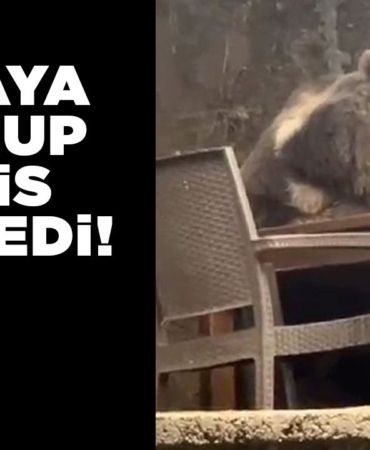 ankarakizilcahamamayi-1