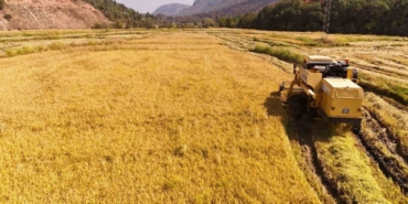 asiri-sicaklar-celtikte-verimliligi-dusurdu