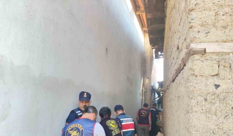 Babaannesini başına tüple vurarak öldürdü