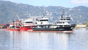 balikcilar-limana-kasalar-dolusu-hamsiyle-dondu