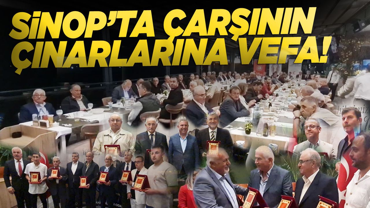 carsinincinarlari89478374638