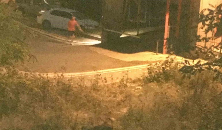 Domuz saldırısından son anda kurtuldu