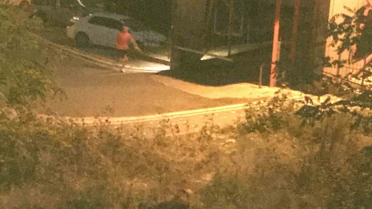 domuz-saldirisindan-son-anda-kurtuldu