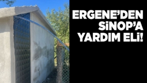 ergenesinop