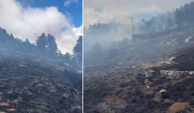 Otluk alanda yangın paniği