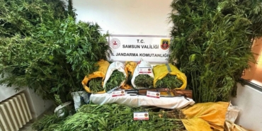 findik-bahcesine-kenevir-eken-baba-ogul-tutuklandi