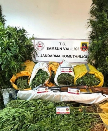 findik-bahcesine-kenevir-eken-baba-ogul-tutuklandi