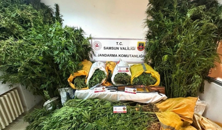 findik-bahcesine-kenevir-eken-baba-ogul-tutuklandi