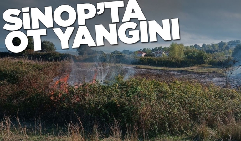Sinop’ta arazide çıkan yangın korkuttu