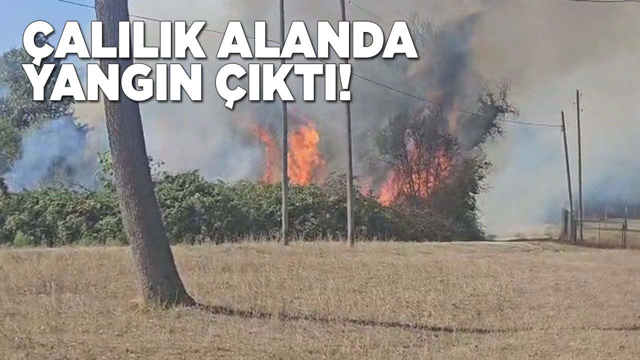 h-j-n-g-j-n