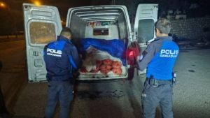 iki-kamyonette-5-ton-midye-ele-gecirildi