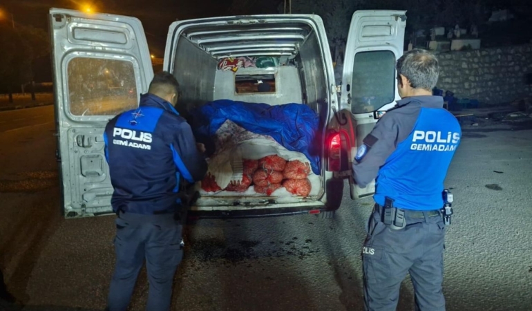 İki kamyonette 5 ton midye ele geçirildi