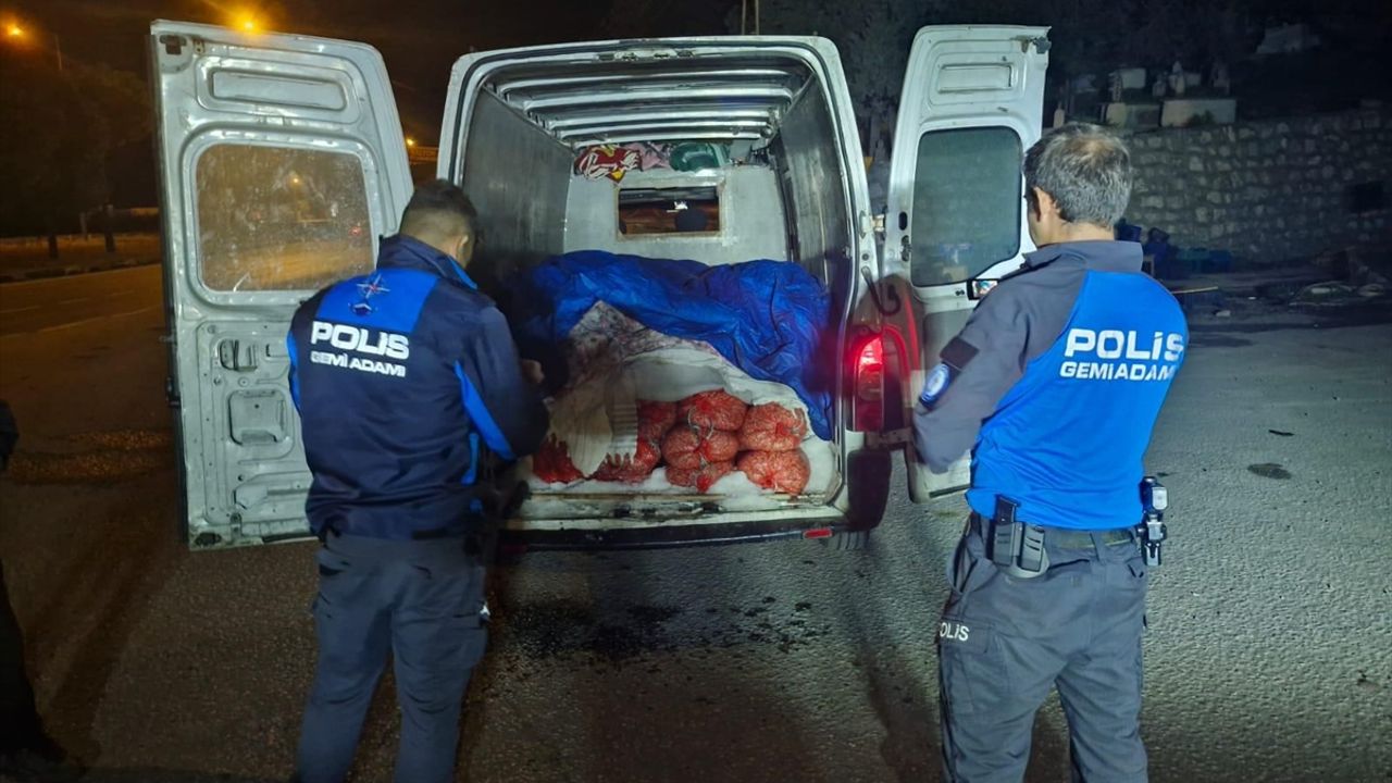 iki-kamyonette-5-ton-midye-ele-gecirildi