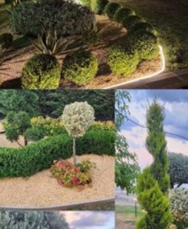 ilcede-bir-ilk-peyzaj-yarismasi-duzenlendi