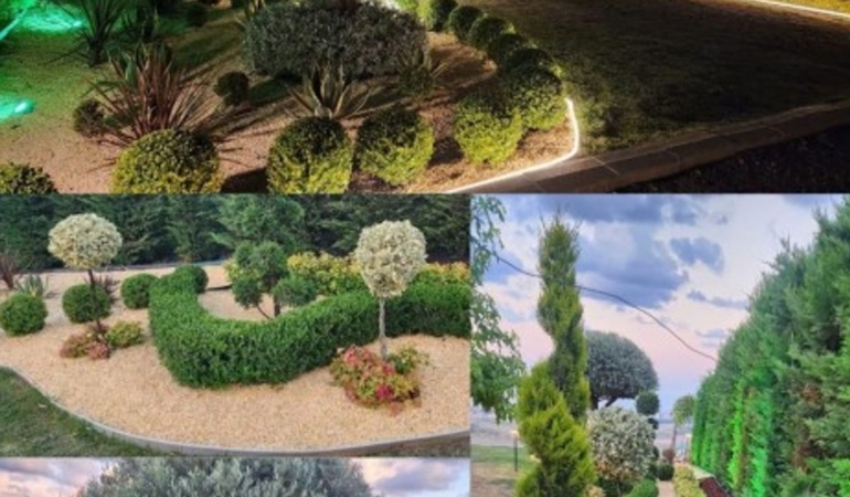 İlçede bir ilk: Peyzaj yarışması düzenlendi