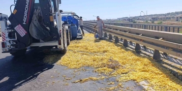 kamyonet-bariyerlere-carpti-patatesler-yola-sacildi