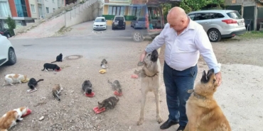 kenanaralsokakhayvanlari