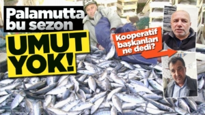 kooperatifbalikcilar