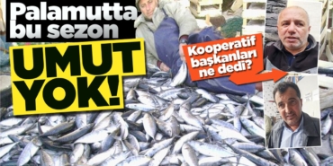 kooperatifbalikcilar