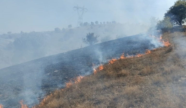 Makilik alanda çıkan yangın söndürüldü