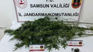 narkotik-operasyonunda-3-supheli-yakalandi