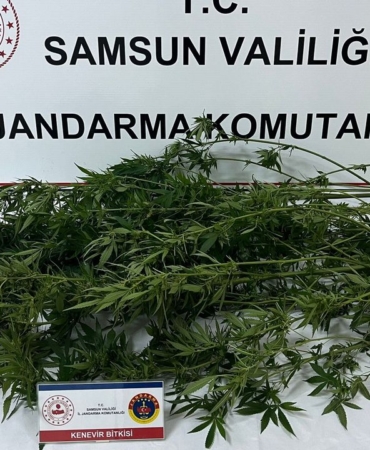 narkotik-operasyonunda-3-supheli-yakalandi