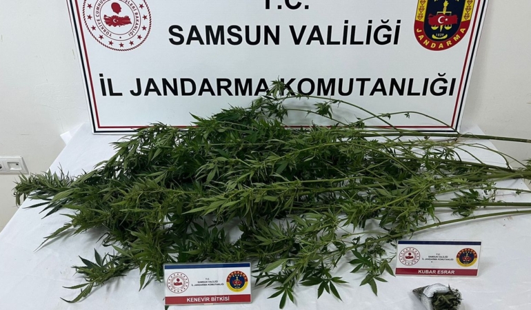 Narkotik operasyonunda 3 şüpheli yakalandı