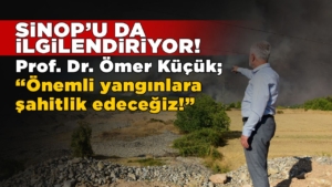 onemliyanginlaromerkucuk-3
