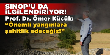 onemliyanginlaromerkucuk-3