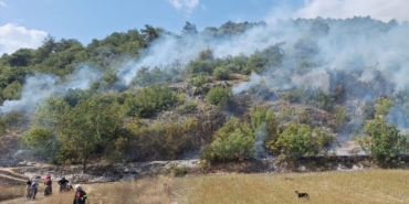 ormanlik-alanda-cikan-yangin-sonduruldu