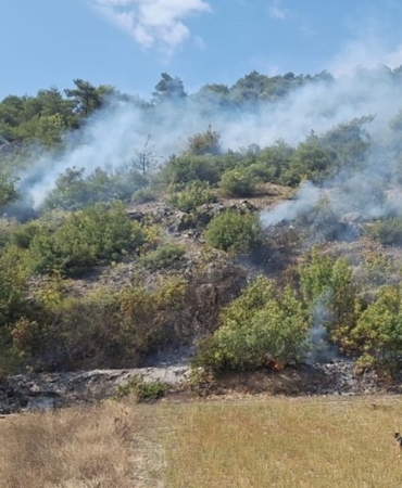 ormanlik-alanda-cikan-yangin-sonduruldu