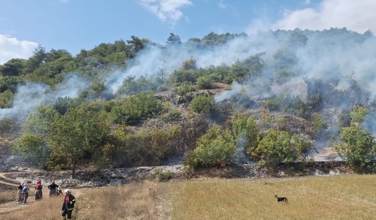 Ormanlık alanda çıkan yangın söndürüldü