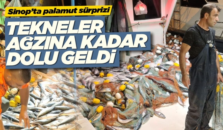 Sinop’ta fırtına bitti, Palamut fışkırdı!