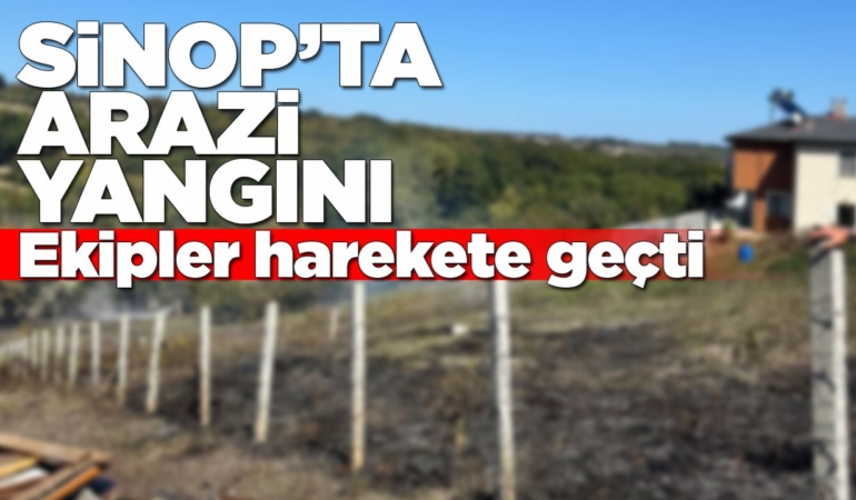 Sinop’ta otluk alanda çıkan yangın korkuttu