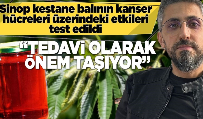 Sinop kestane balı mucizesi