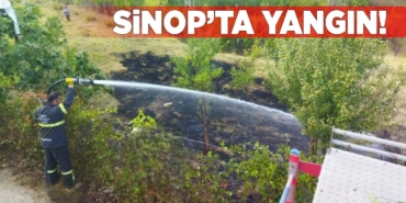 s-i-n-o-p-a-y-a-n-c-i-k-y-a-n-g-i-n