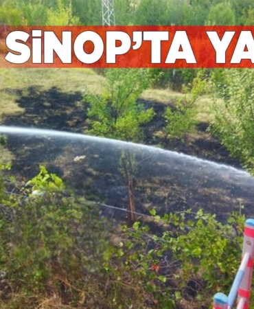 s-i-n-o-p-a-y-a-n-c-i-k-y-a-n-g-i-n