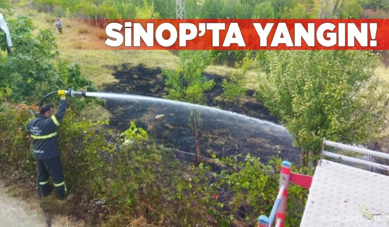 Sinop’ta kırsal alanda çıkan yangını korkuttu!