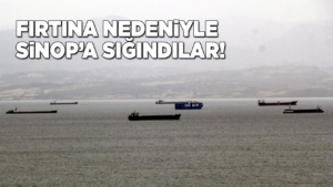 s-i-n-o-p-f-i-r-t-i-n-a