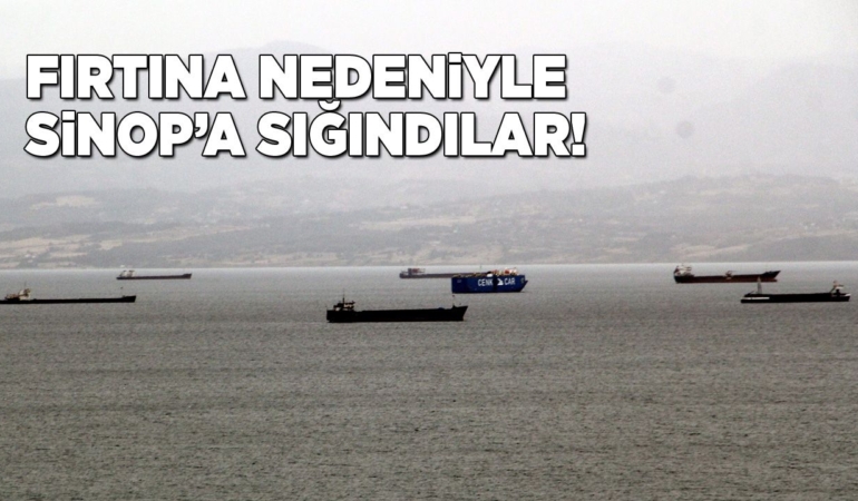 s-i-n-o-p-f-i-r-t-i-n-a