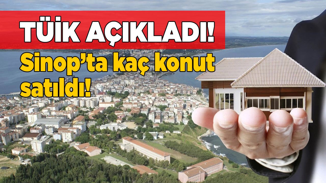 sinop-konut-satis-vitrinhaber-copy