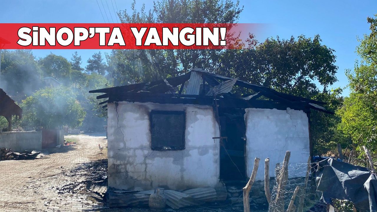sinopduraganevyangini